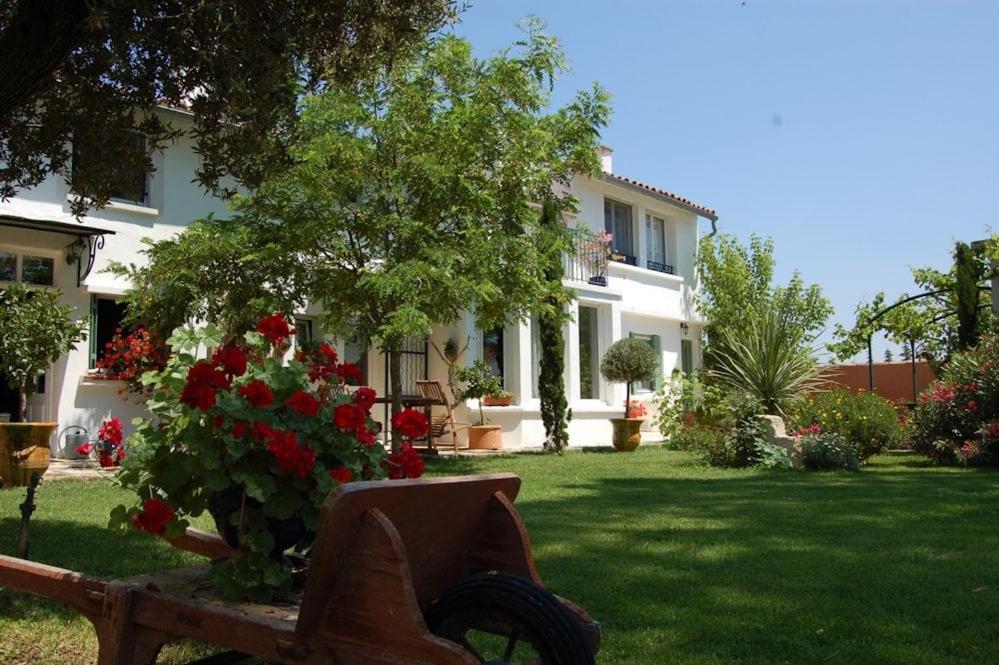 Chambre Seville - Mas Saint-Louis - Piscine Chauffee Aigues-Mortes Dış mekan fotoğraf